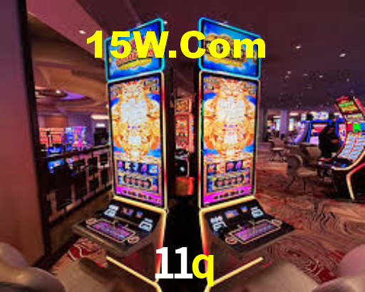 11q