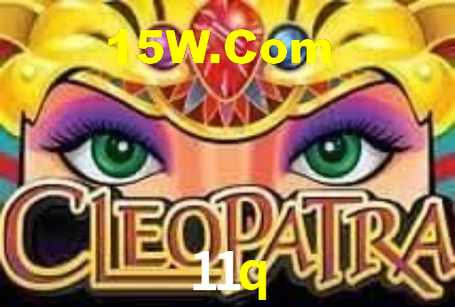 11q login